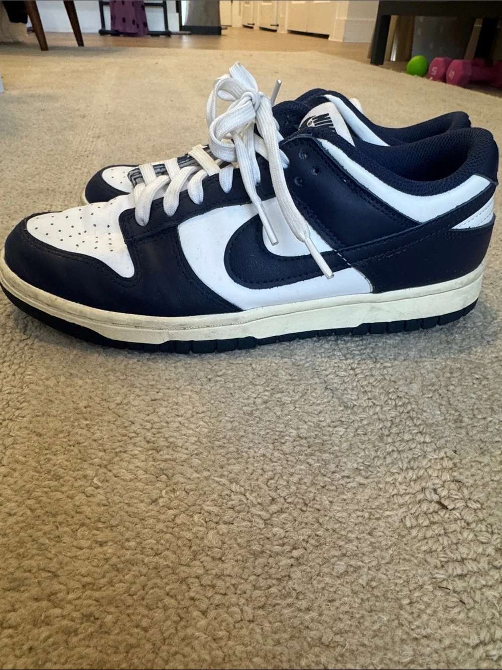 Nike dunk high